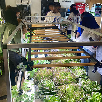 Math for America tweet media