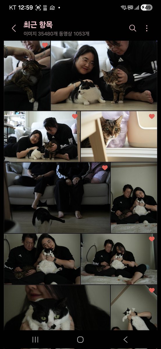 plusbban's tweet photo. 여러분 이번에 반려동물 스냅 이벤트 당첨돼서 첨으로 호랭창문이랑 남편이랑 가족사진 찍었단말입니다?
와... 너무 잘나와서 프로듀스101 하면서 셀렉함.
@Kimcatsanp https://t.co/DXMiXDNf0c
