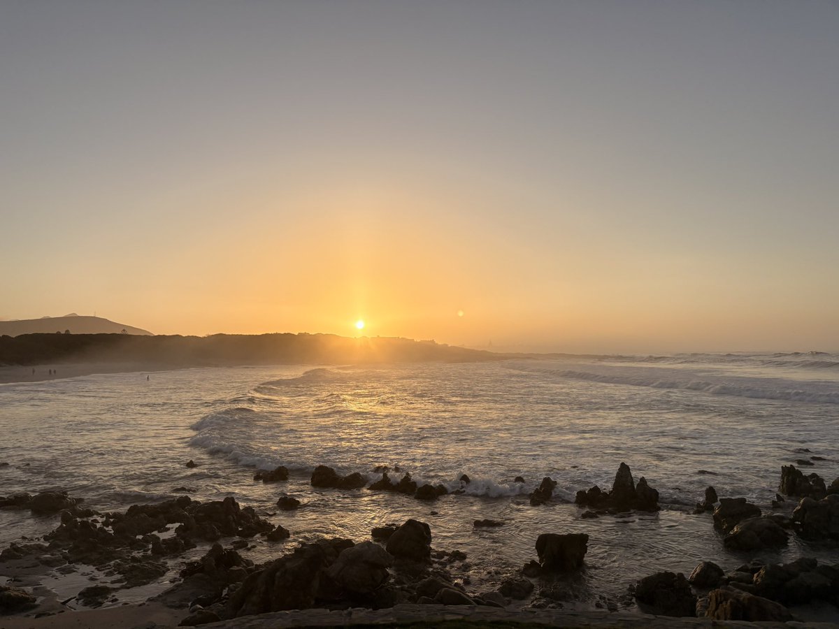 Frieda Lloyd tweet media