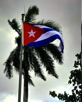 Frente al recrudecimiento del bloqueo y el cerco energético, el mundo levanta su voz. 🌎 No hay asfixia que logre doblegar la dignidad de un pueblo que decide su propio camino. ¡La solidaridad es el motor que nunca falla! 🇨🇺✊ #CubaResiste #MejorSinBloqueo #CubaNoEstáSola