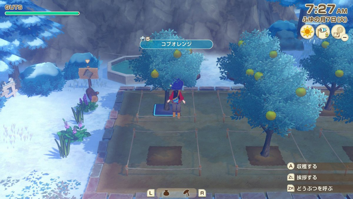 のの先生はゲームがしたい tweet media