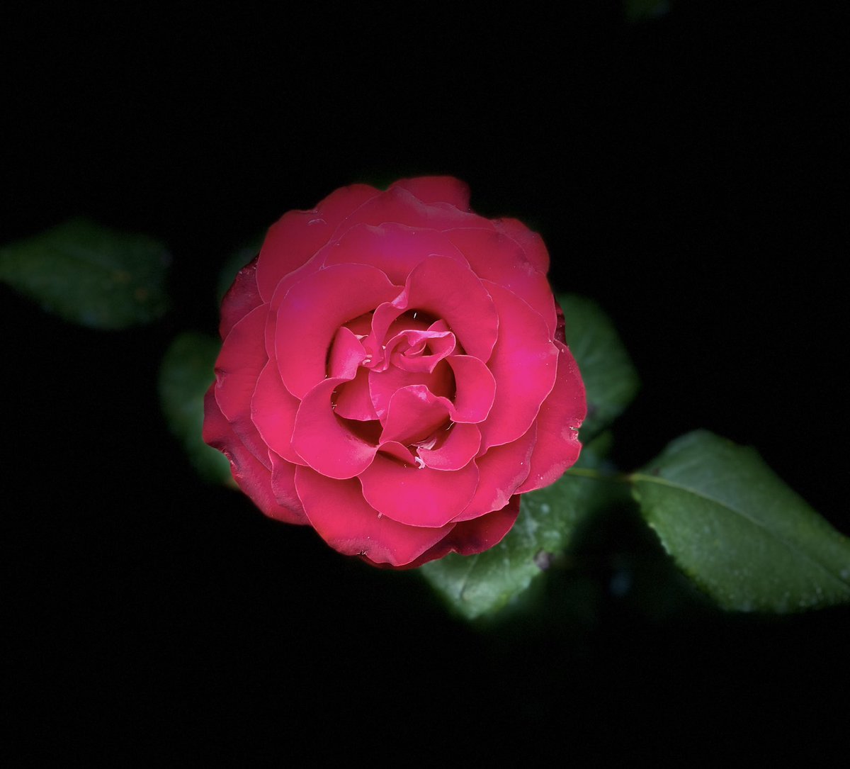 Saakinn_Ortamm's tweet image. __"Olacak #Sabret"
               👉İle👈
"Olmayacak #Boşver"

                   arasında #telef oldu #hayatlarımız_______________😌

#İꭹi_Ꭺꮶꮪ̧ꭺꮇꮮꭺꭱ ☕️👈