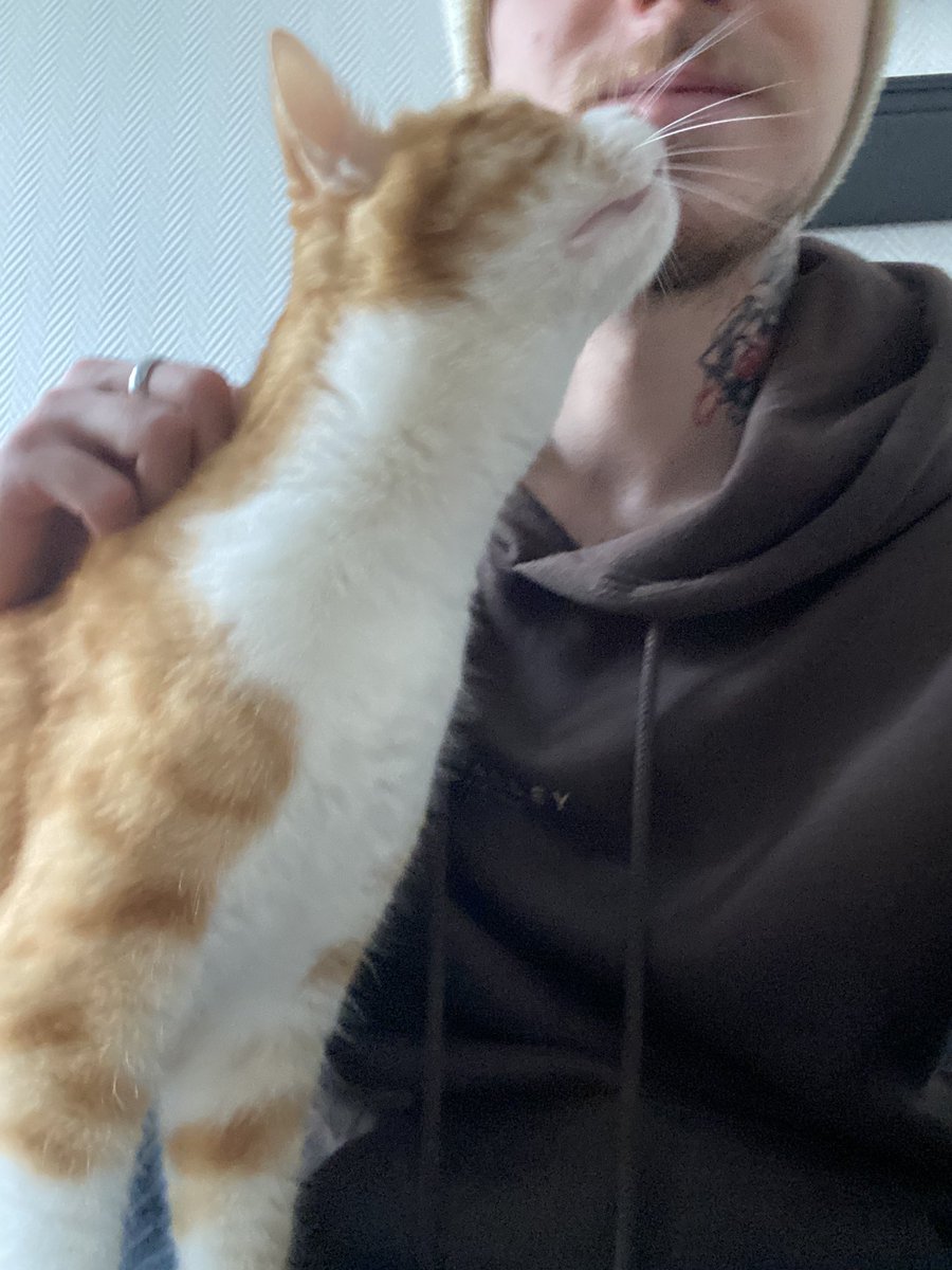 ErranteAme's tweet photo. Arriver a Paris première chose à faire, faire des câlins au chat de ma bestie https://t.co/Zz4KuPiES4