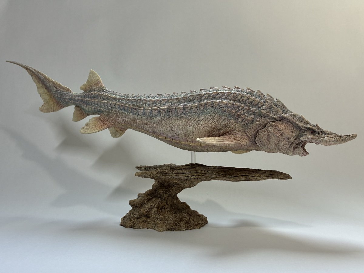 福田 浩史　WF5-30-08 tweet media