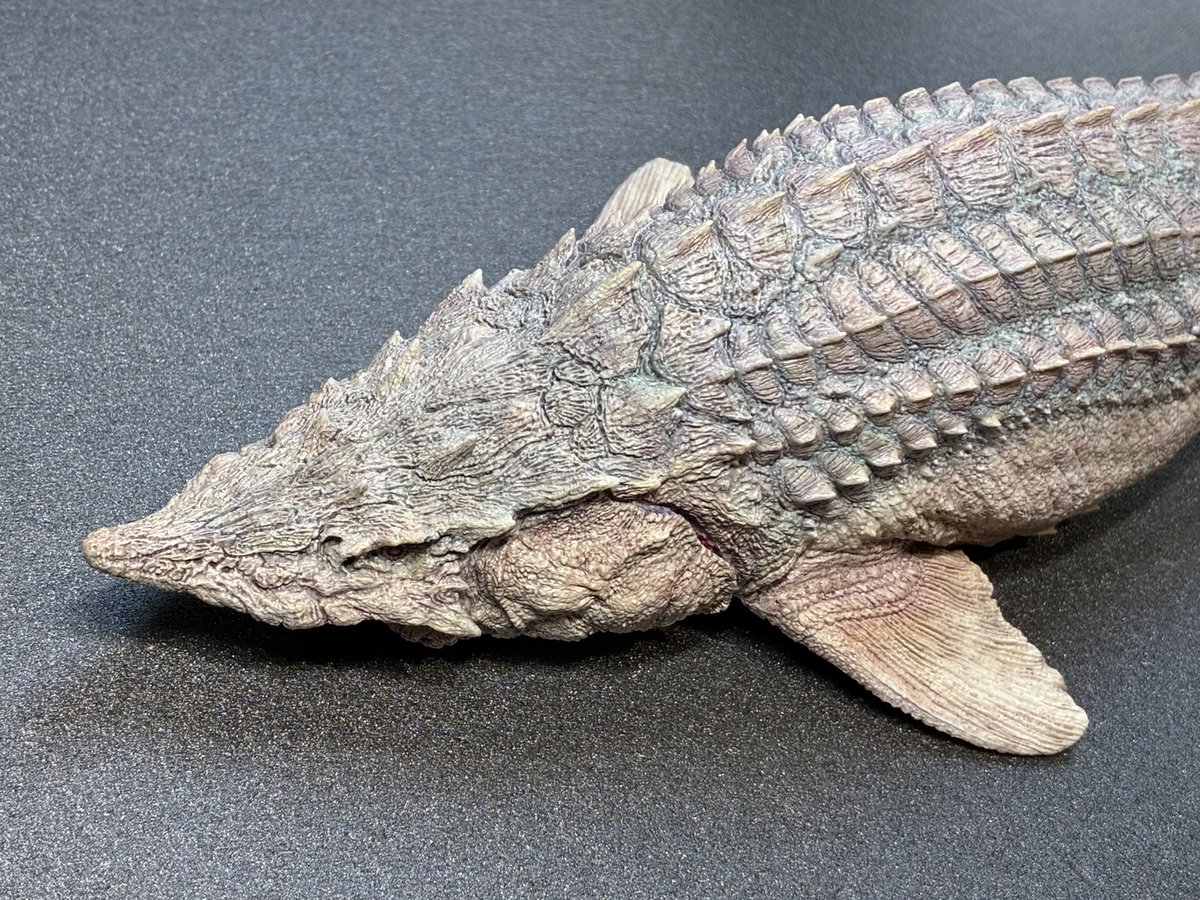 福田 浩史　WF5-30-08 tweet media