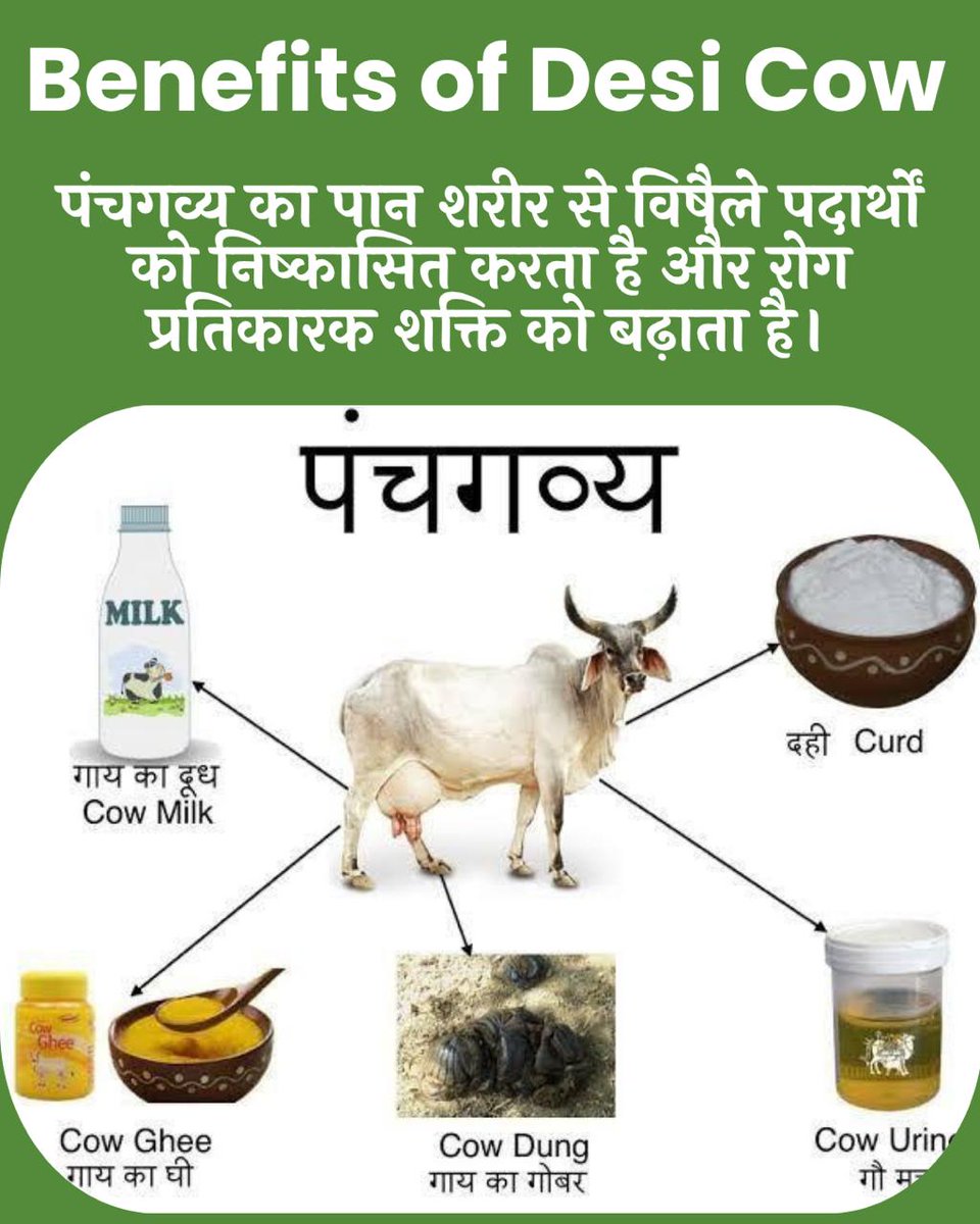 #DesiGaay का घी
Adbhut Labh देता है। प्रतिदिन कुछ बंदे नाक में डालें पुरानी से पुरानी नजले की समस्या खत्म हो जाती है, स्मरण शक्तिबढ़ती है। माइग्रेन की समस्या दूर होती है।
-- Sant Shri Asharamji Bapu
Gau Rakshahttps://youtube.com/shorts/9b1Z7zAGRlw?feature=share