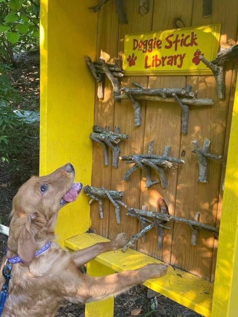 Puppieslover's tweet photo. https://t.co/5phlzsCO2U