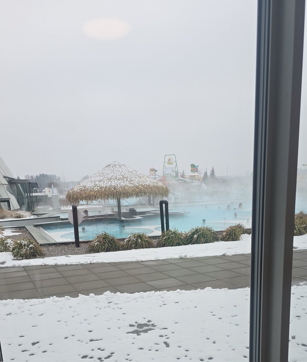 Miss Alex Wildfire tweet media