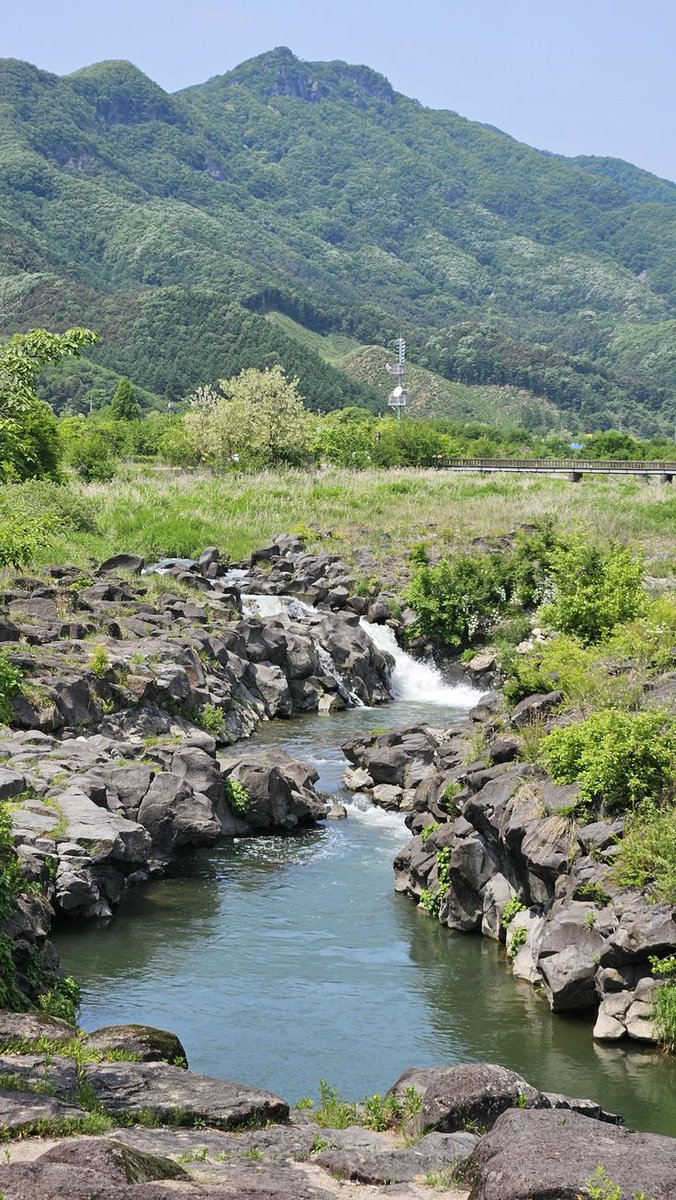 ✦𝐆𝖍𝖆𝖟𝖆𝖑𝖆𝖍.𝐒✦ tweet media