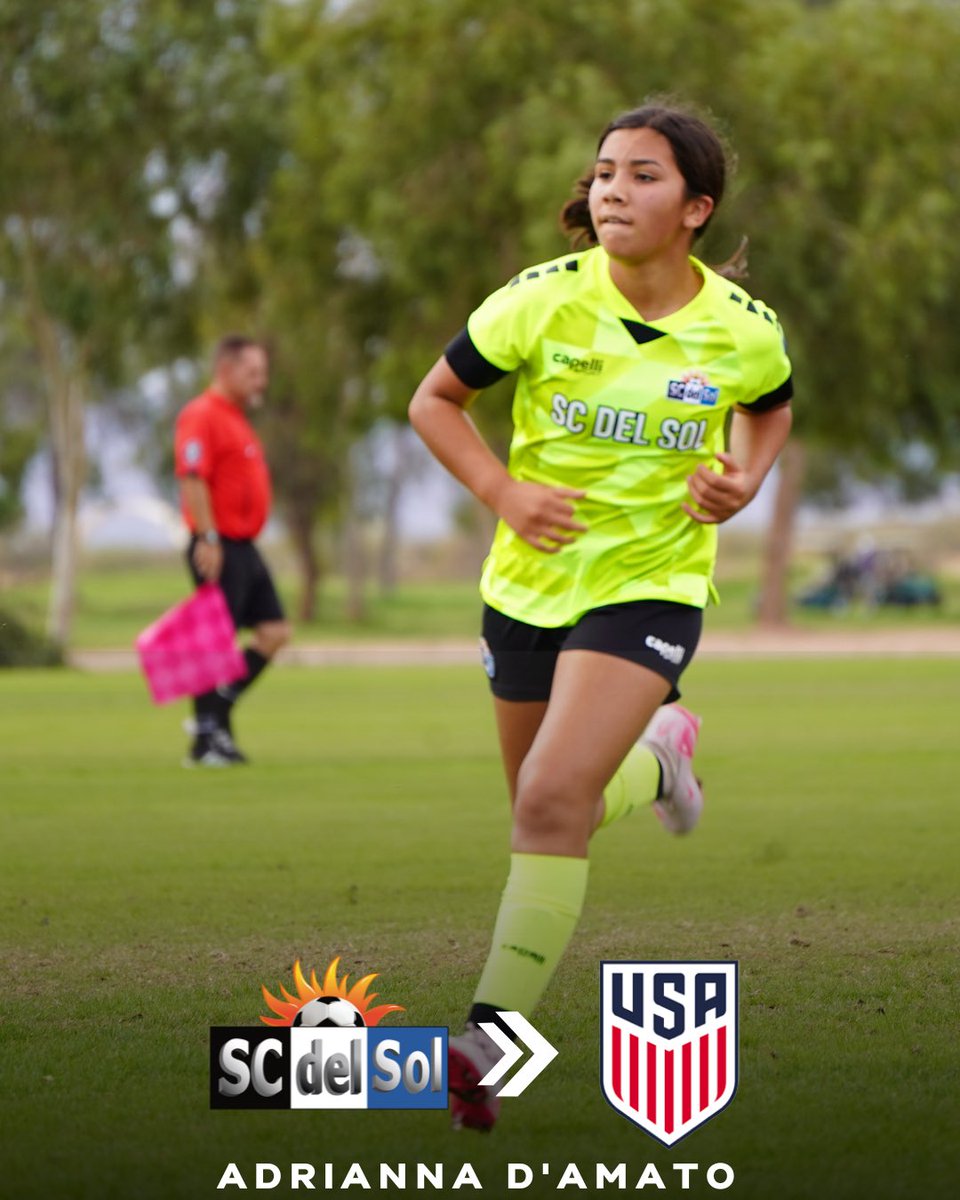 SC del Sol tweet media