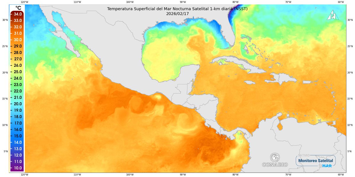SIMARConabio's tweet photo. SATcoral: Satellite-based Early Warning System for Coral Bleaching 1-km by SIMAR-Conabio
📅 Daily report: 2026-02-17
🔗 Explore SATcoral-SIMAR: https://t.co/5H0xGQkO9j
https://t.co/9VFTz420NO
#Coral #Bleaching #Conabio https://t.co/EStDC7Eqyy