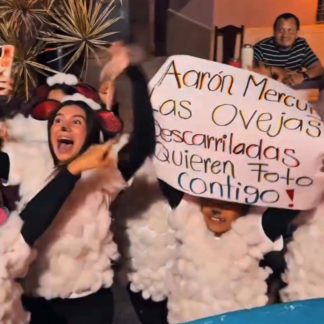 Las ovejas descarriladas jajajaja
La carita de Aarón 🤣🥹🤏🏻

Las quiero muchoooo