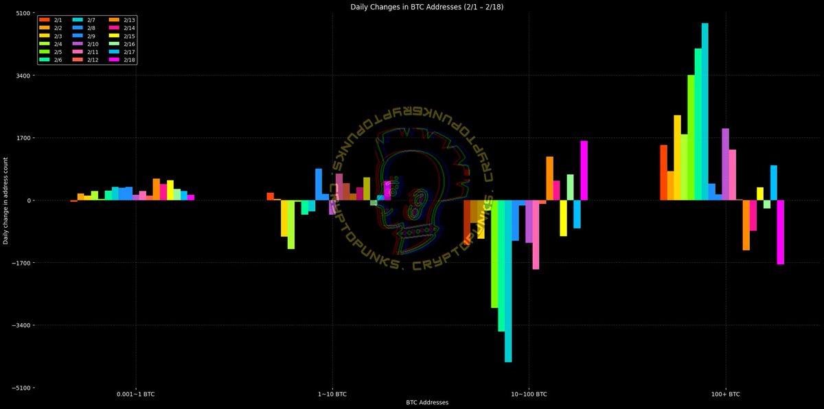 crypto_punkX's tweet photo. 比特幣今日鏈上數據2026/2/18                      

$BTC 100+ 大鯨魚賣出

(近兩周最大) https://t.co/vWLrwDtqqy