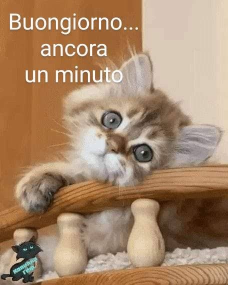 palumbo323's tweet photo. @giusepp76695660 https://t.co/IxAjC9kLEg