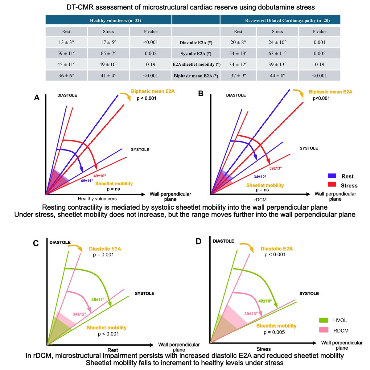 CircImaging tweet media