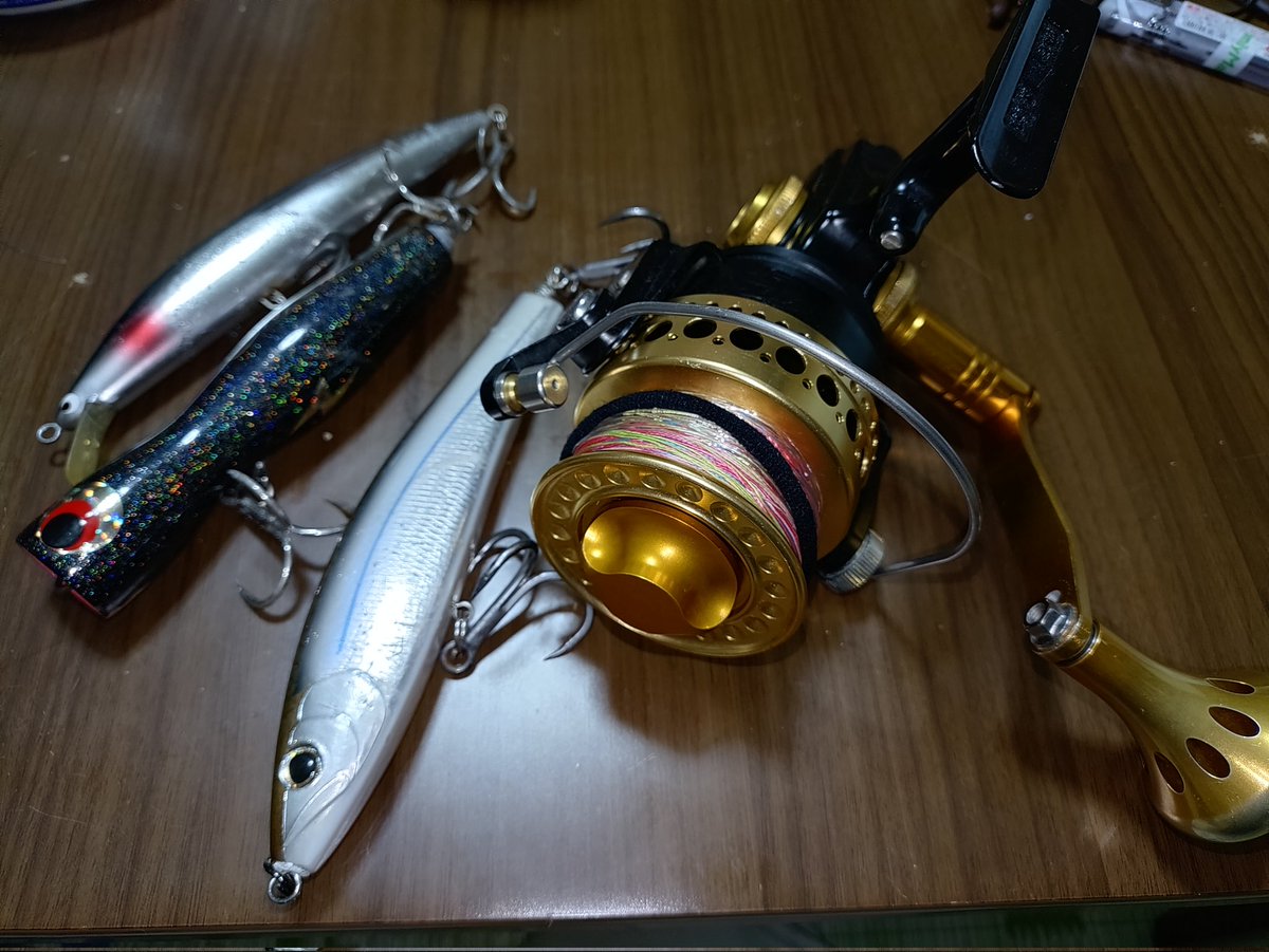 びっちゅう (@GAROGARO_hideto) / Posts / X