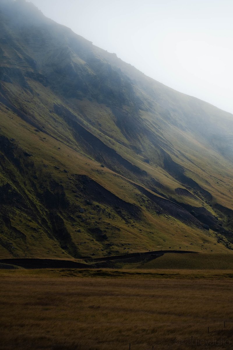 JuicyJulio tweet media