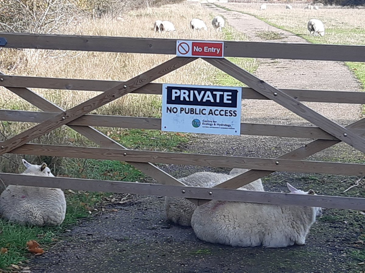 lingosia's tweet image. To make sure you get the message, we have put THREE notices up AND employed extra security staff.  @pmj_photos  #PMJWeeklyChallenge  #TuttingTypography