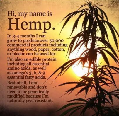 Tracy Goudreau (@tracygoudreau1) on Twitter photo 