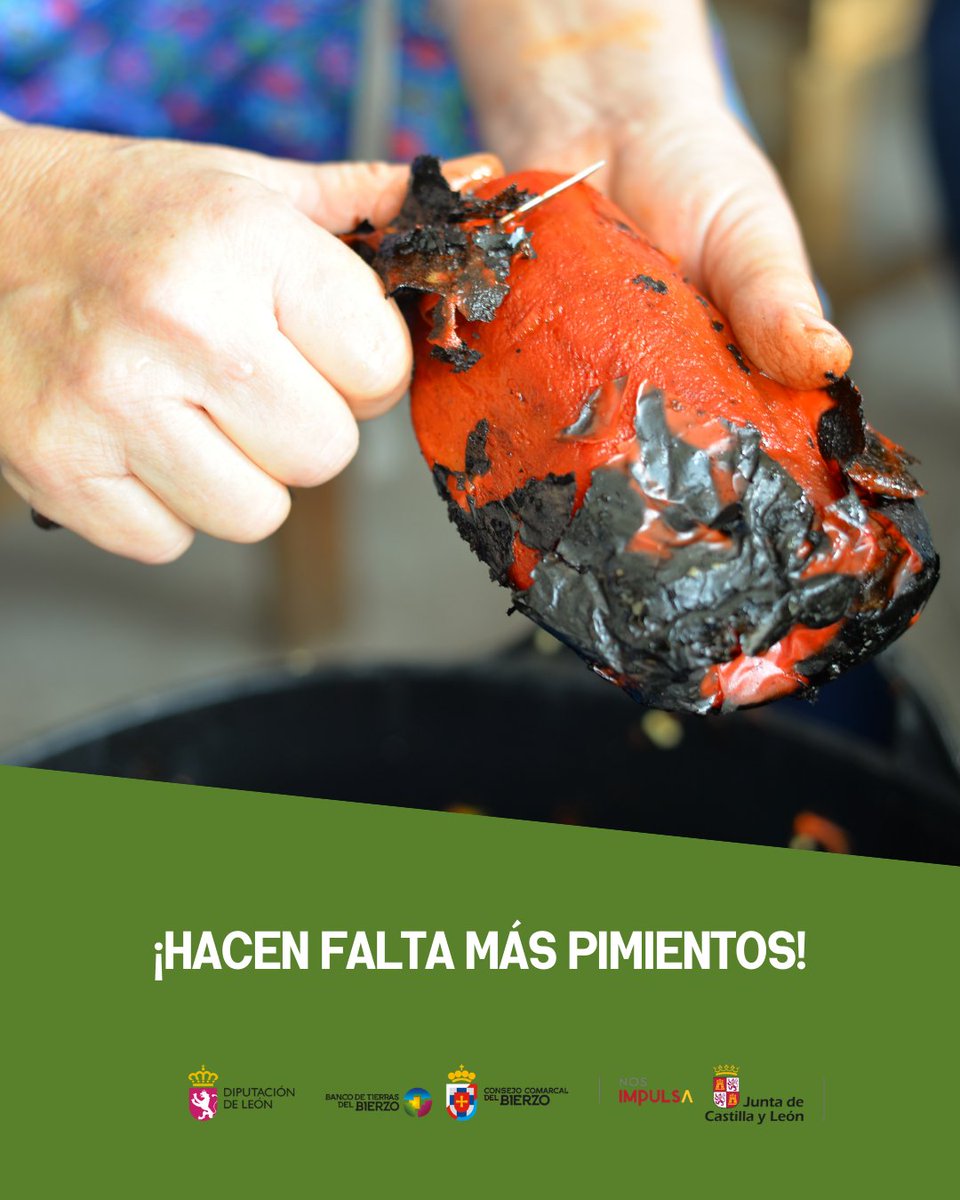 Banco de Tierras del Bierzo tweet media