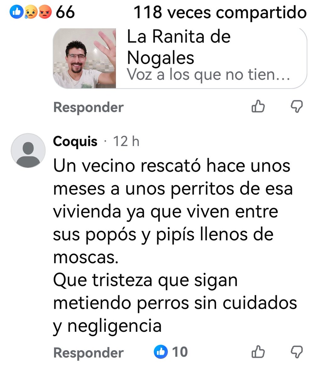 <a href="/SPedroDLosPinos/">San Pedro de Los Pinos</a> Usan perros para sacrificios o  tacos, los desaparecen y traen más, los vecinos ya han reportado y no los escuchan, también desaparecen gatos, están en pipís y popos son agua ni comida <a href="/ClaraBrugadaM/">Clara Brugada Molina</a> <a href="/UCS_GCDMX/">Unidad de Contacto del Secretario SSC CDMX</a> <a href="/LuisMendozaBJ/">Luis Mendoza Acevedo</a> <a href="/FiscaliaCDMX/">Fiscalía CDMX</a> <a href="/PAOTmx/">PAOT</a> <a href="/Claudiashein/">Claudia Sheinbaum Pardo</a>
