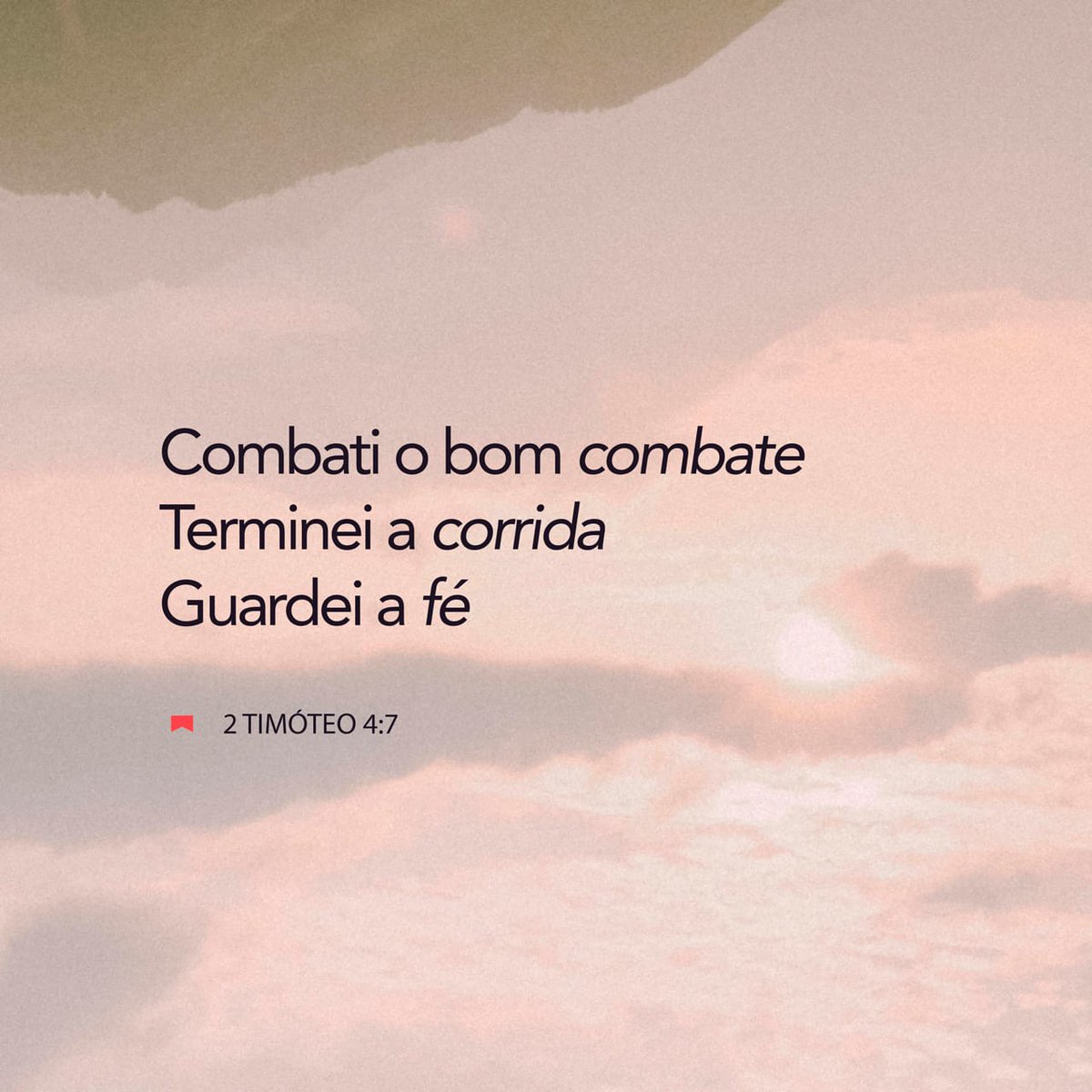 Cassio 🇧🇷🇧🇷🇧🇷 tweet media