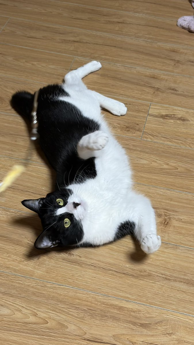 봉구네 김밥이 tweet media