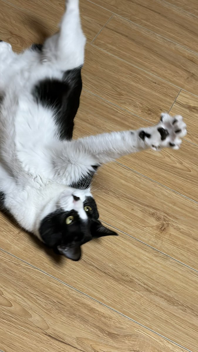 봉구네 김밥이 tweet media