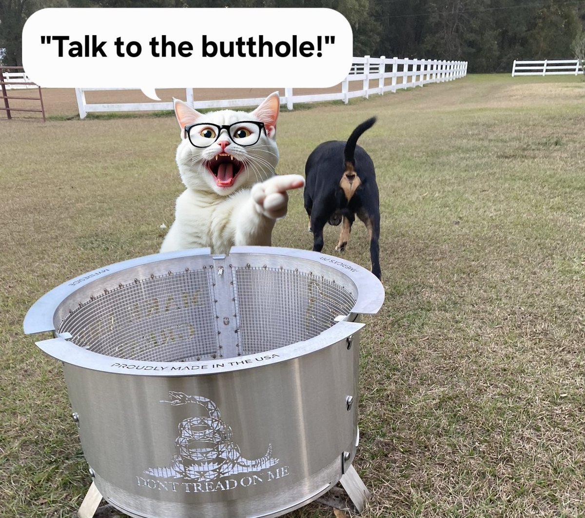 catturd2's tweet image. LOL - Stop it. 😂