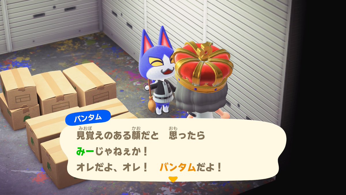 Miiiiiiii_nyan_'s tweet photo. きのこ様(@pear_mix )からバンタムくんお譲りいただきました🤦🏻‍♀️💙
仲良く暮らしますありがとうございました›⩊‹✨
 #あつ森  #あつまれどうぶつの森 https://t.co/lDIOxqaJDK