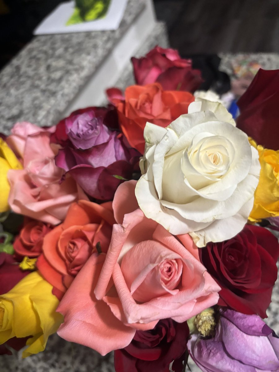 brookln_taylor's tweet photo. life lately 💐🌷🌻 https://t.co/P7sp0S8xLm
