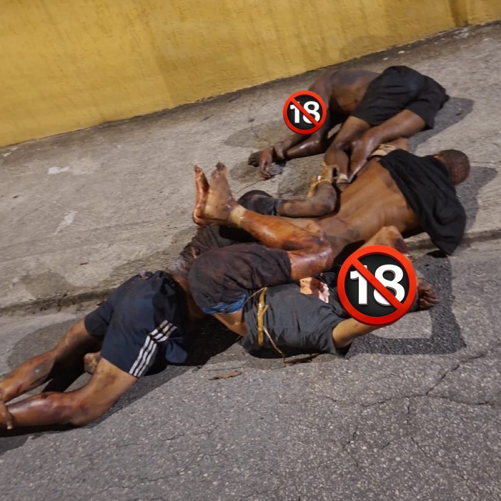 BAÚ DO RIO OFC tweet media