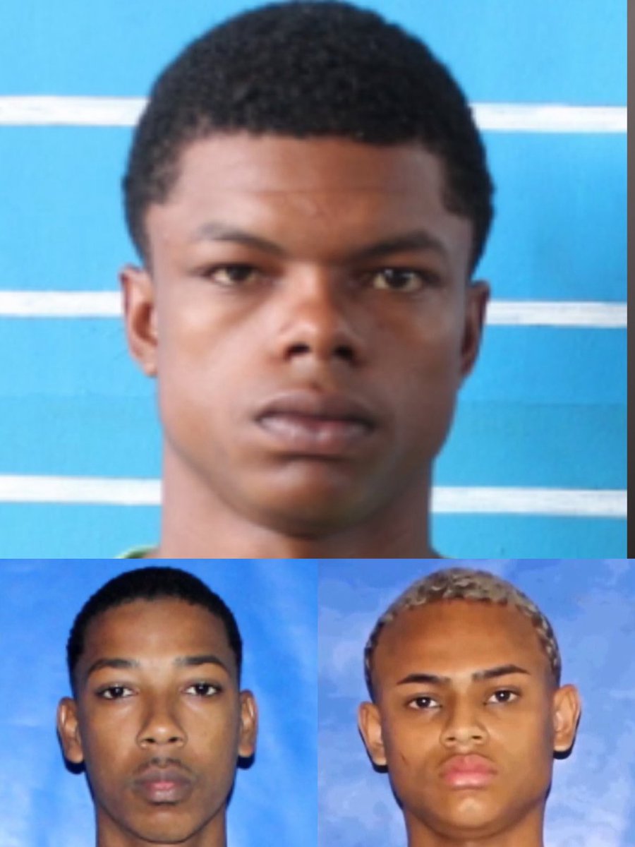 BAÚ DO RIO OFC tweet media