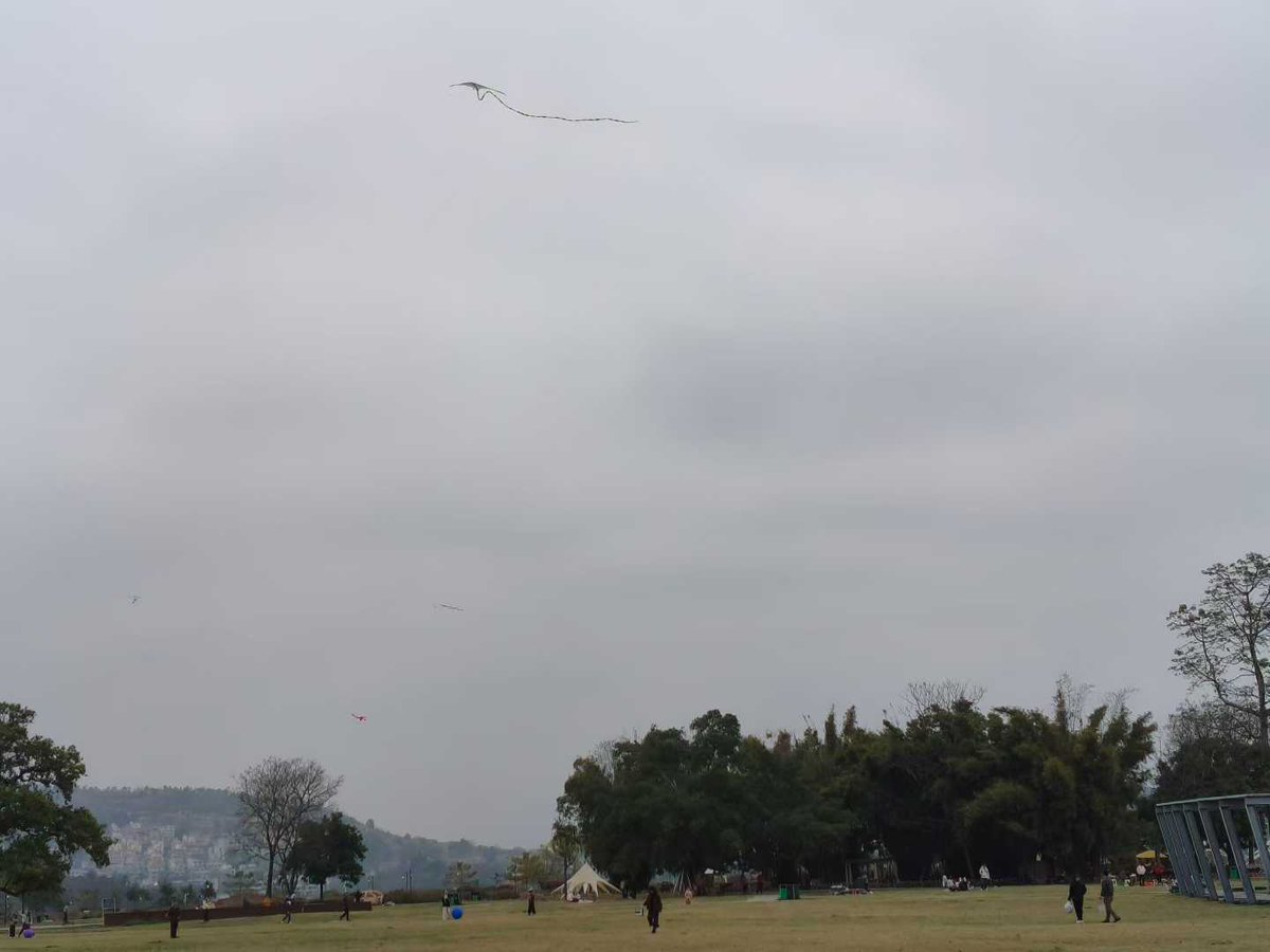 StanPoldark tweet media