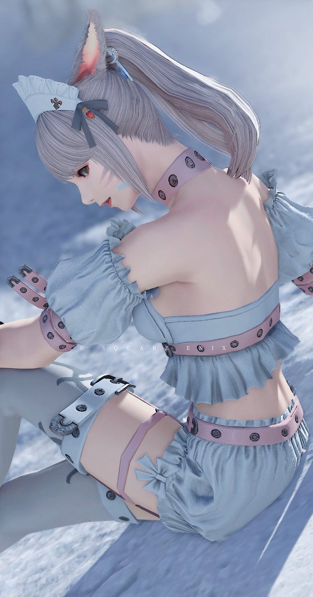 #ミコッテ