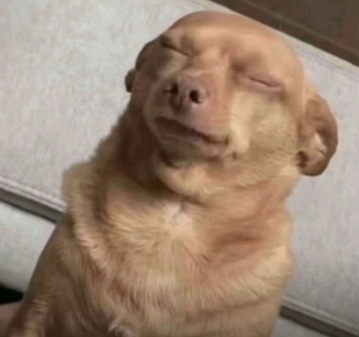 Hexadeb👨💻💜 || Website Developer Nigeria🇳🇬 tweet media