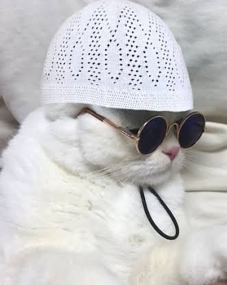 Crypto with Khan ( SFZ ) tweet media