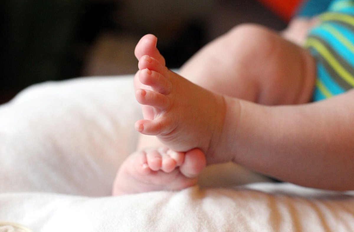 Espagne : les naissances ont augmenté en 2025, une première depuis plus de dix ans
➡️ l.leparisien.fr/DQrm