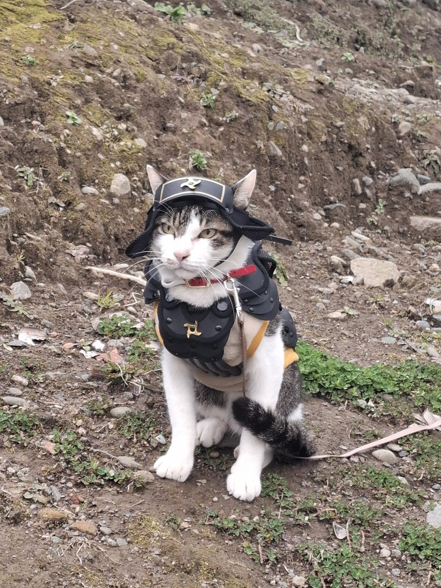 3番でお願いします