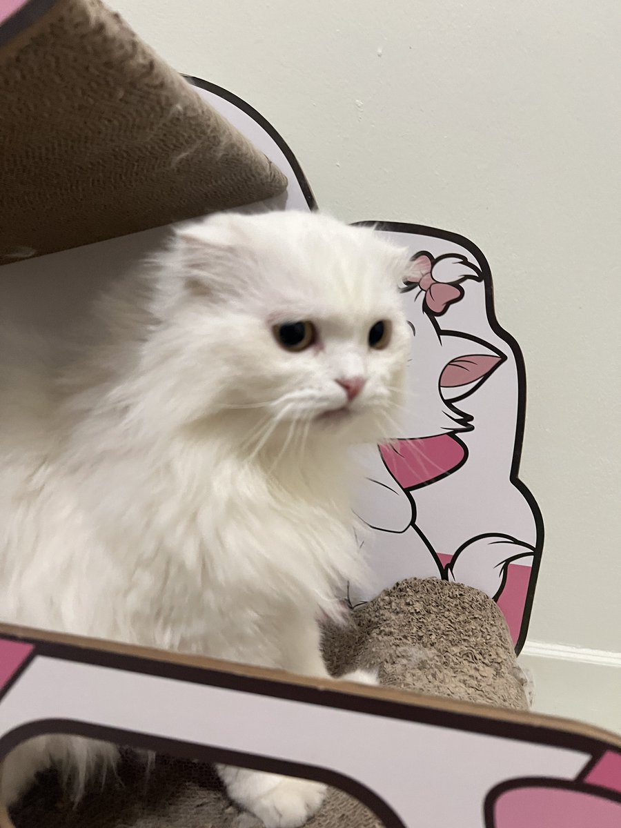 ใคเอาทวิกแม่ไปเย่นปะ แม่หนูมั่ยมีทางนอดใจ