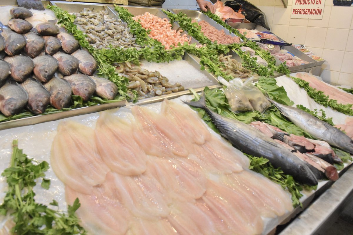 HASTA 140 PESOS COSTARÁ LA TILAPIA ESTA CUARESMA

Información extendida aquí: elojodeaguascalientes.com/2026/02/hasta-…

#Aguascalientes #Noticias