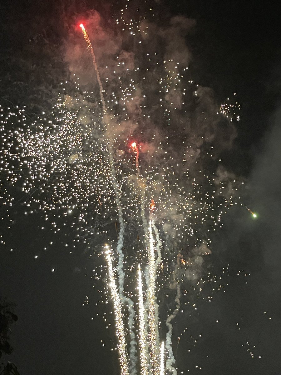 兔子喵小姐🤍 tweet media