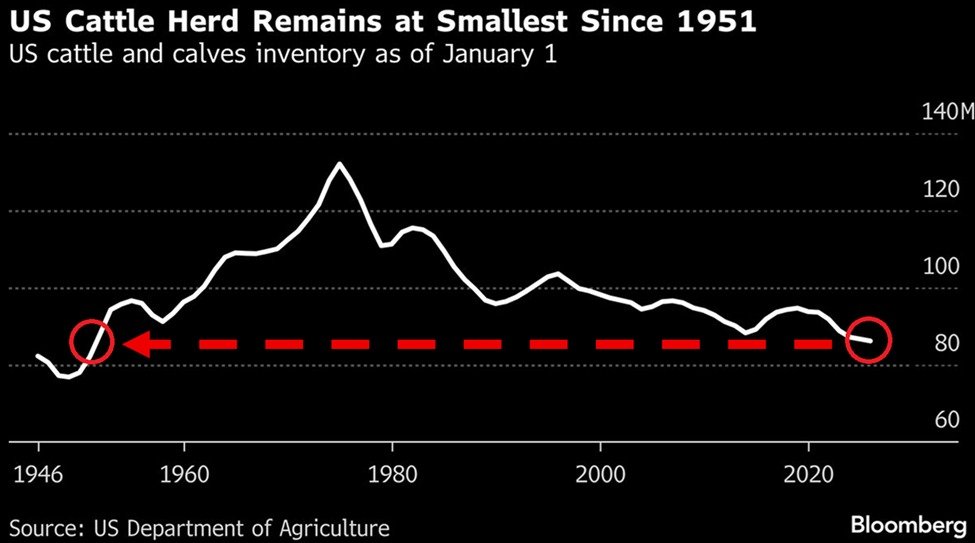 The US is facing a major cattle shortage:

US cattle and calves inventory is down to ~85 million, the lowest since 1951, according to the USDA.

The herd has shrunk by ~45 million from the 1975 peak of ~130 million and ~10 million since 2020.

As a result, beef and veal prices