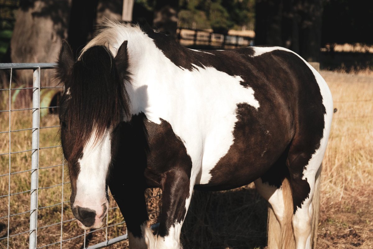 Moni🍉 tweet media