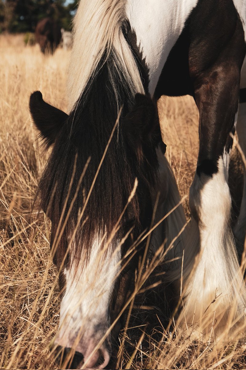 Moni🍉 tweet media