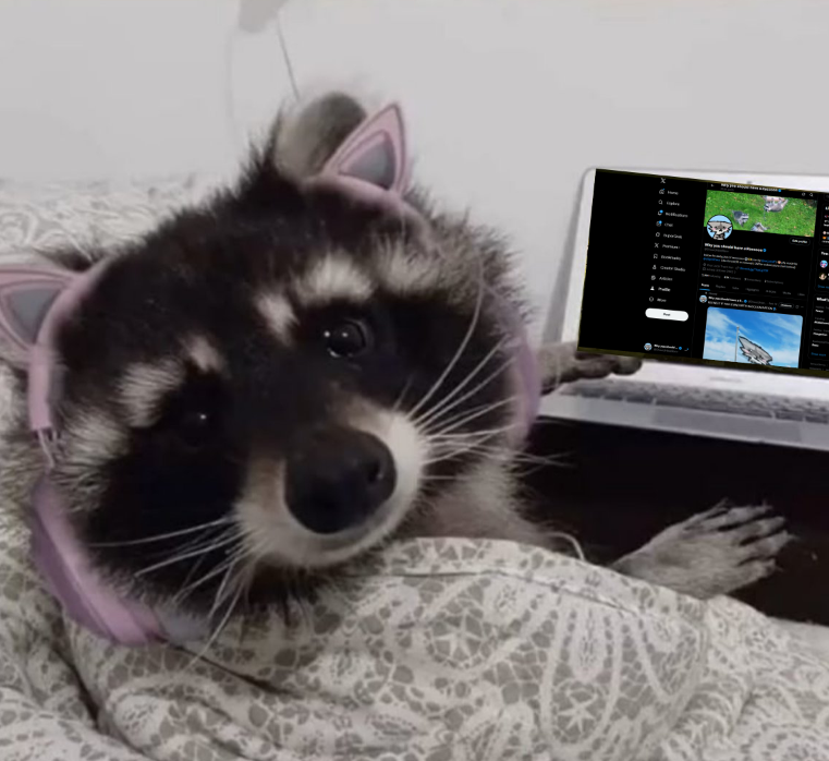 ShouldHaveRacc's tweet photo. this is what i look like when i make my tweets btw https://t.co/gZZhCxe9ly