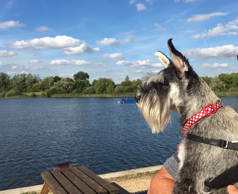 7LakesCountryPa's tweet photo. 🐣🌼
Dog friendly caravan holidays call 01724 712211 https://t.co/OWODmVixE9