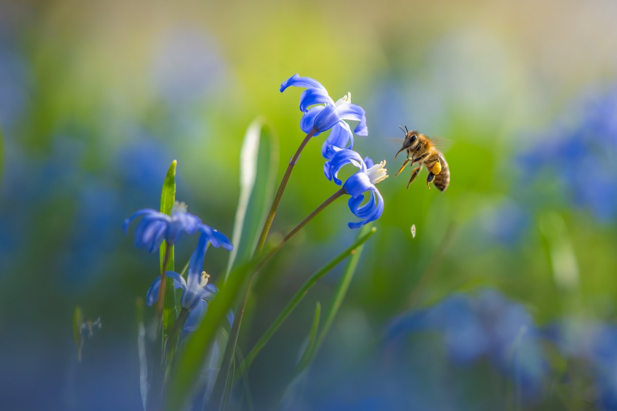 Spring is slowly making its way into nature. Can't wait to get lost in ...