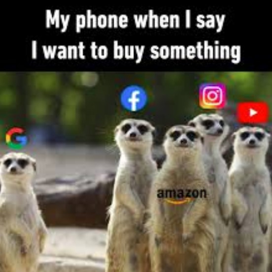 ZelKarakatitsa's tweet photo. Just uploaded my all-time favorite meme to @DataHaven_xyz testnet! 🖼️📷 This one always kills me - perfect mix of crypto pain and relatable humor.   Feels good knowing it's stored privately and permanently now.  Moose Force, what meme lives rent-free in your head? 📷 👇 https://t.co/vgtnv4Eefb