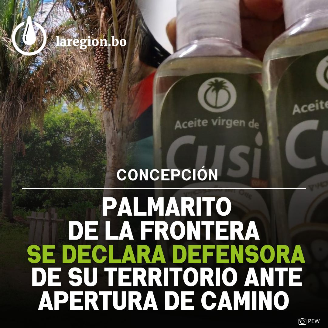 LaRegionPrensa's tweet photo. 📢Palmarito se declara defensora del cusi, la fauna y su territorio ante la apertura de un camino en Concepción.
Lee la nota 👇
https://t.co/G6mRsyi0OH
#Palmarito #Cusi #Concepción https://t.co/Fl4cWzKhpZ